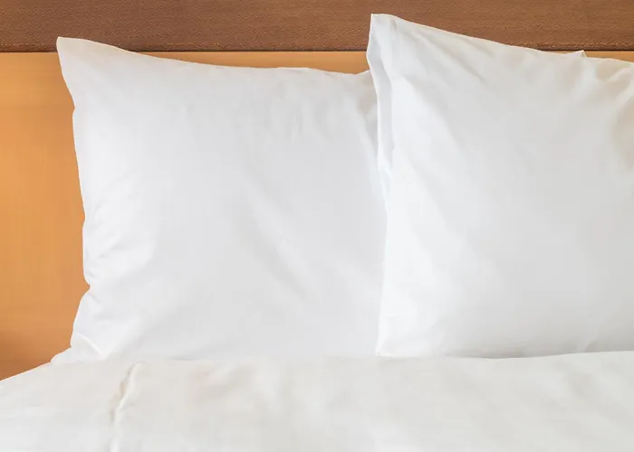 Crowne Plaza Glen Ellyn/lombard By Ihg Hotel 4*